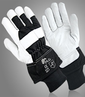 Winter Gloves - graphic